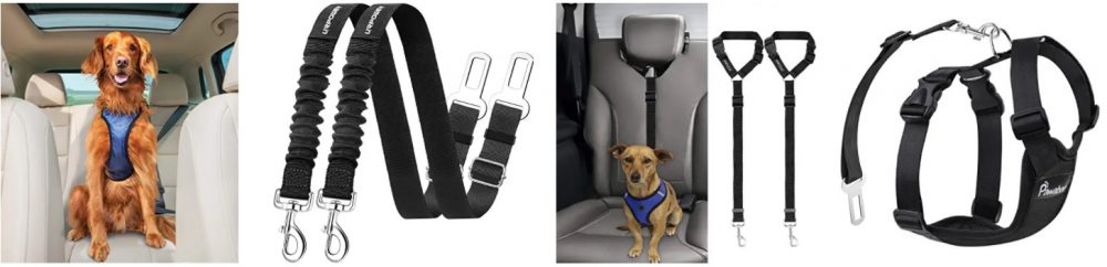 Pet safety options for traveling